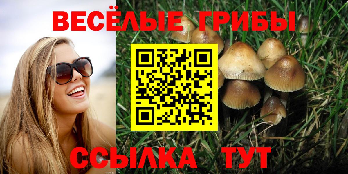 Галлюциногенные грибы GOLDEN TEACHER Клинцы
