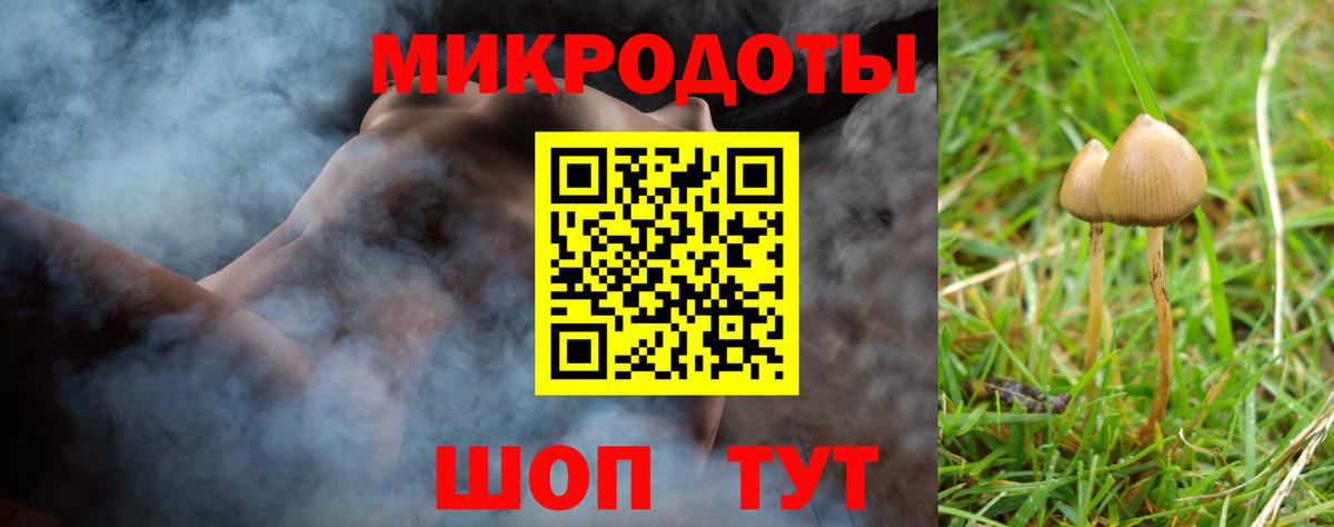 купить закладку  Вход с VPN  Клинцы  Галлюциногенные грибы прущие грибы 